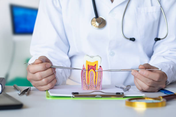 Best Emergency Dentist for Lost Fillings or Crowns in Mountain Lake Park, MD